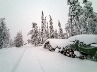 Riisitunturi National Park